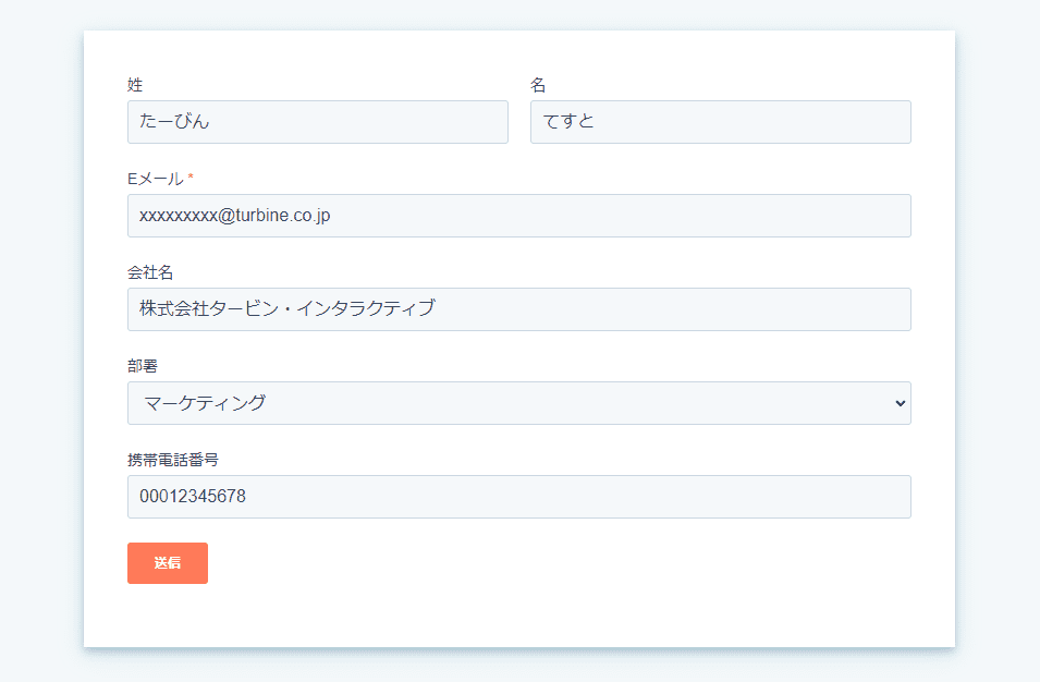 HubSpotフォーム作成　入力項目