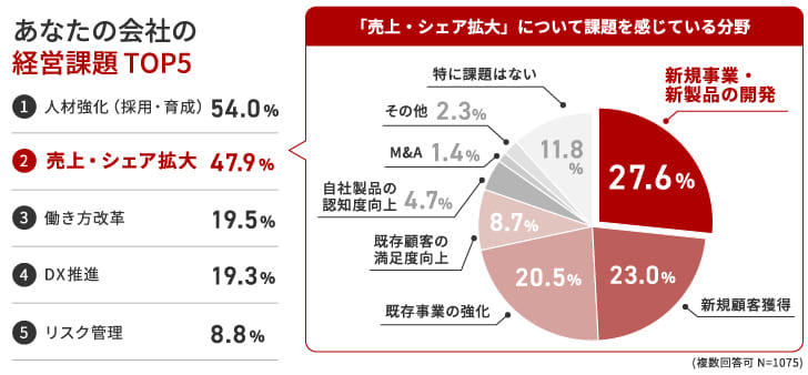 経営課題の売上・シェア拡大の円グラフ