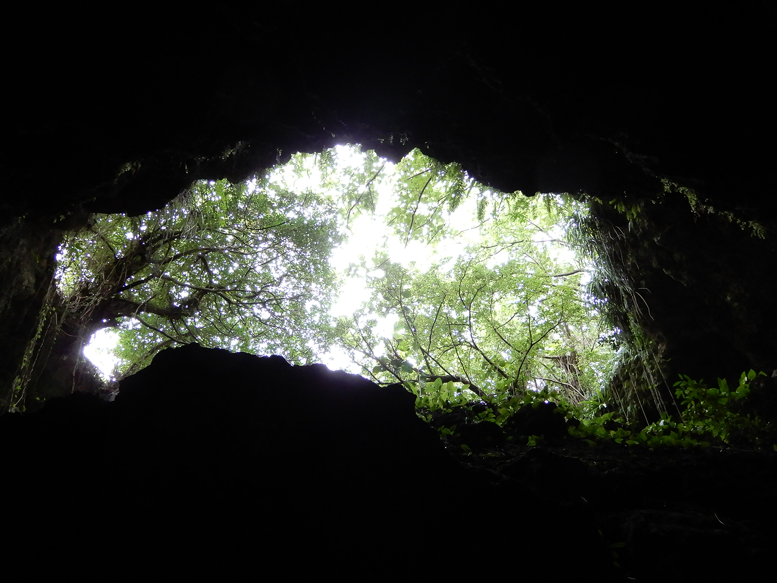 ①DSCN2148