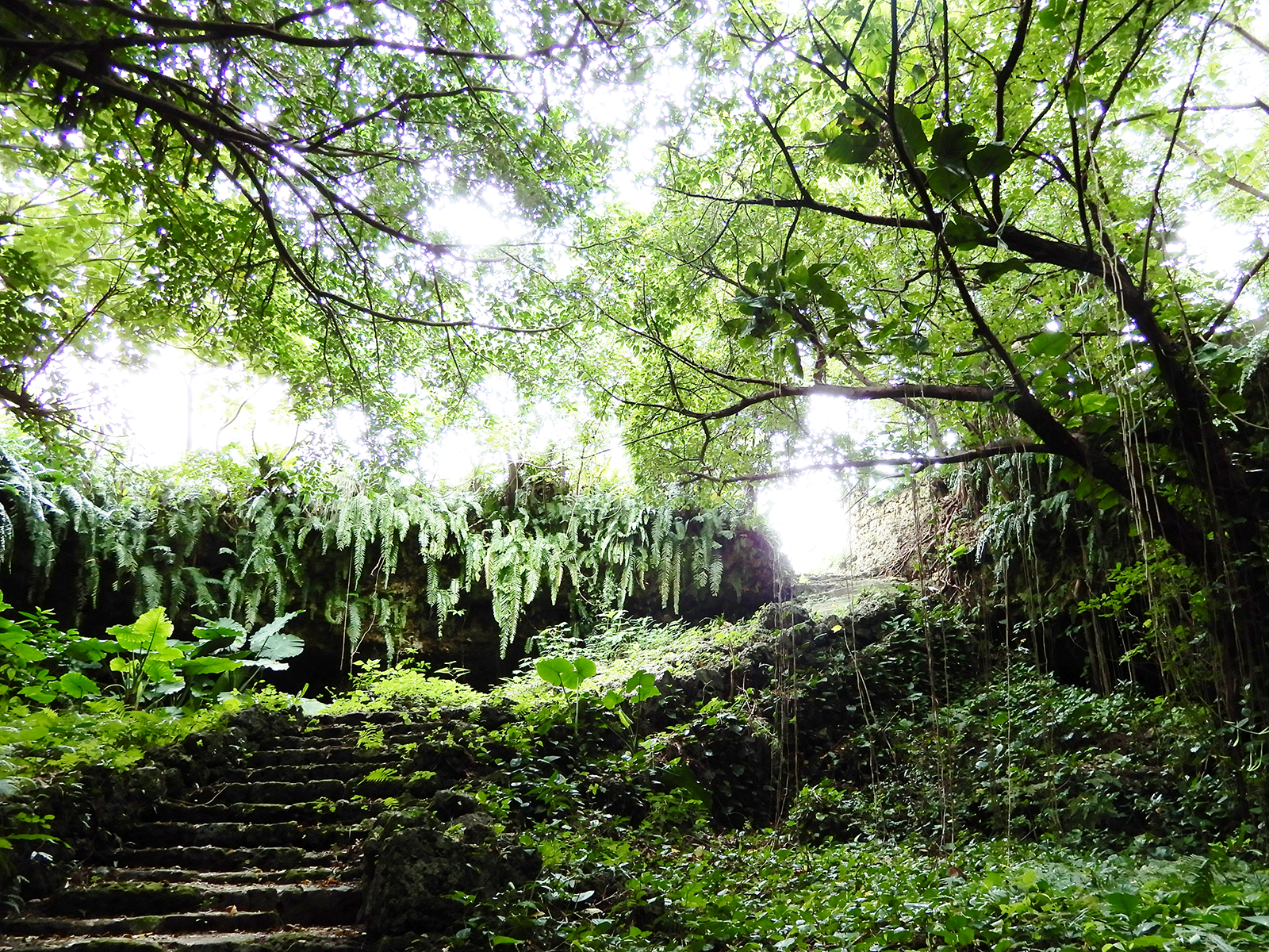 ②DSCN2160