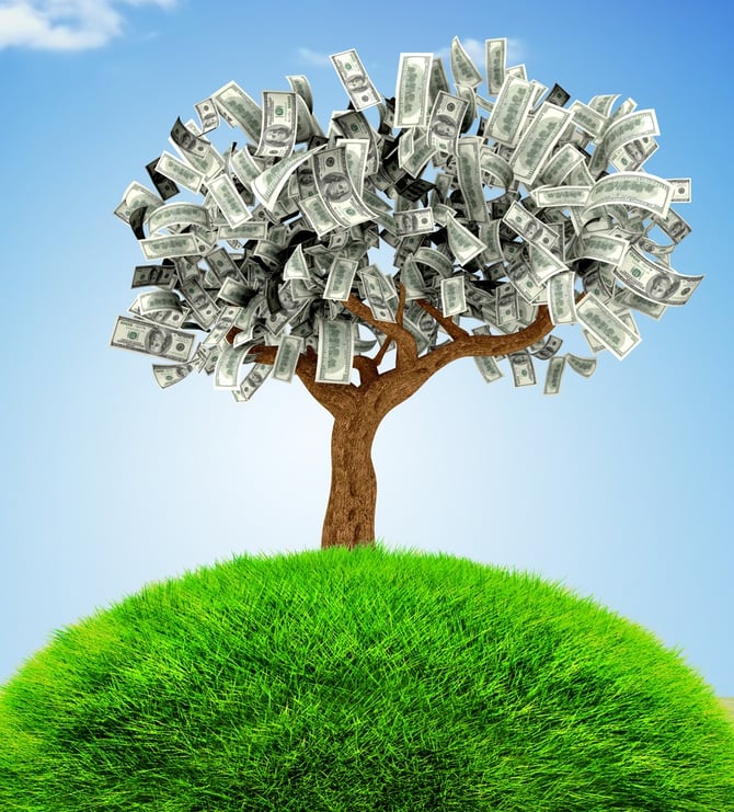 3D Money growing on a tree - financial concepts.jpeg