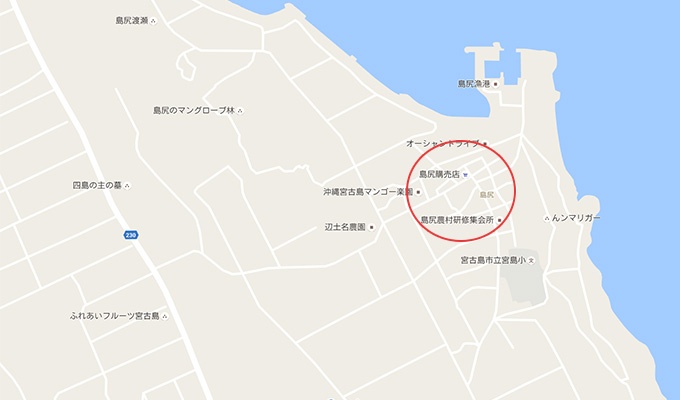 宮古島の伝統行事「パーントゥ」